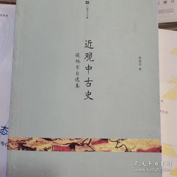 近观中古史：侯旭东自选集