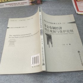 武汉大学刑法博士文丛（3）：非公有制经济刑法规制与保护论纲