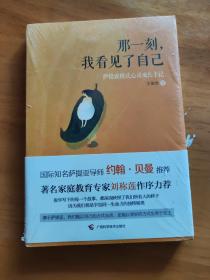 那一刻，我看见了自己：萨提亚模式心灵成长手记