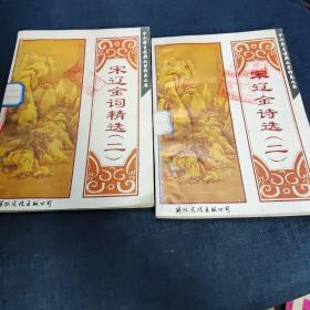 宋辽金诗选 二 宋辽金词精选 二