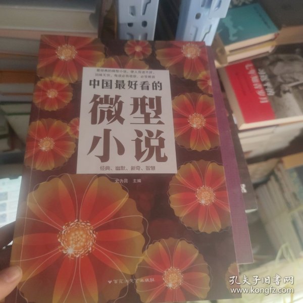 中国最好看的微型小说