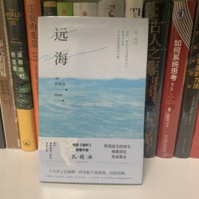 远海（电影《熔炉》原著作者 孔枝泳，“将我此生的骨头渐渐溶化，变成墨水”）?