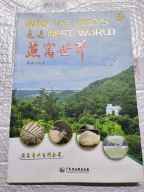 走进燕窝世界