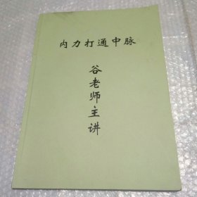 内力打通中脉（谷老师主讲）