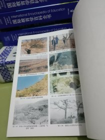 山区采动地表变形及坡体稳定性分析