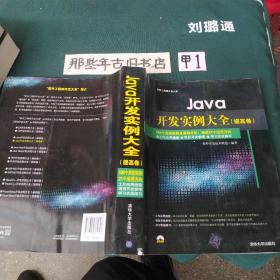 Java开发实例大全 提高卷/软件工程师开发大系