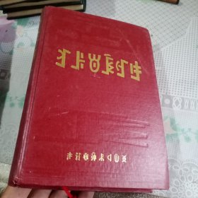 彝族尔比释义（彝文）