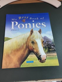 My Best Book of Ponies