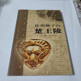 徐州狮子山楚王陵(在265号)