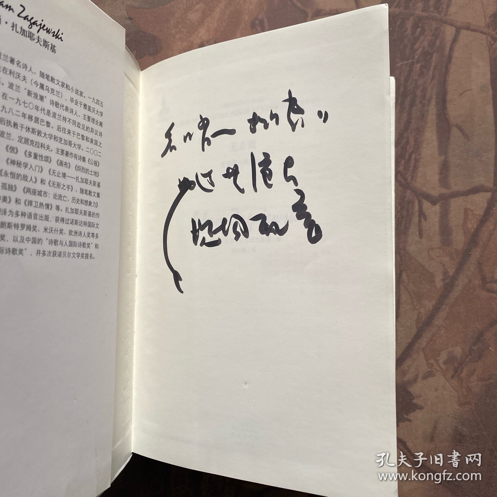 无止境：扎加耶夫斯基诗选