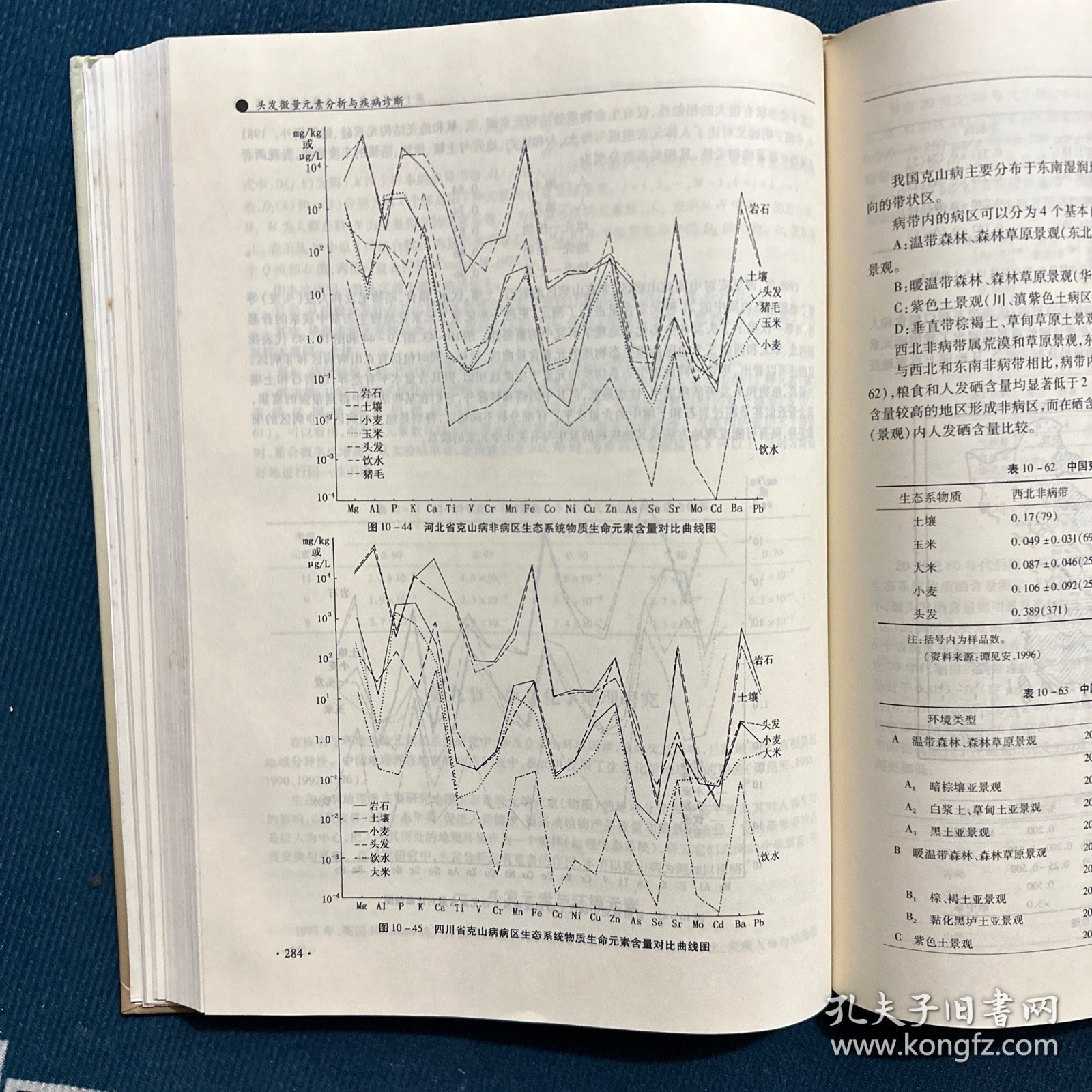 头发微量元素分析与疾病诊断