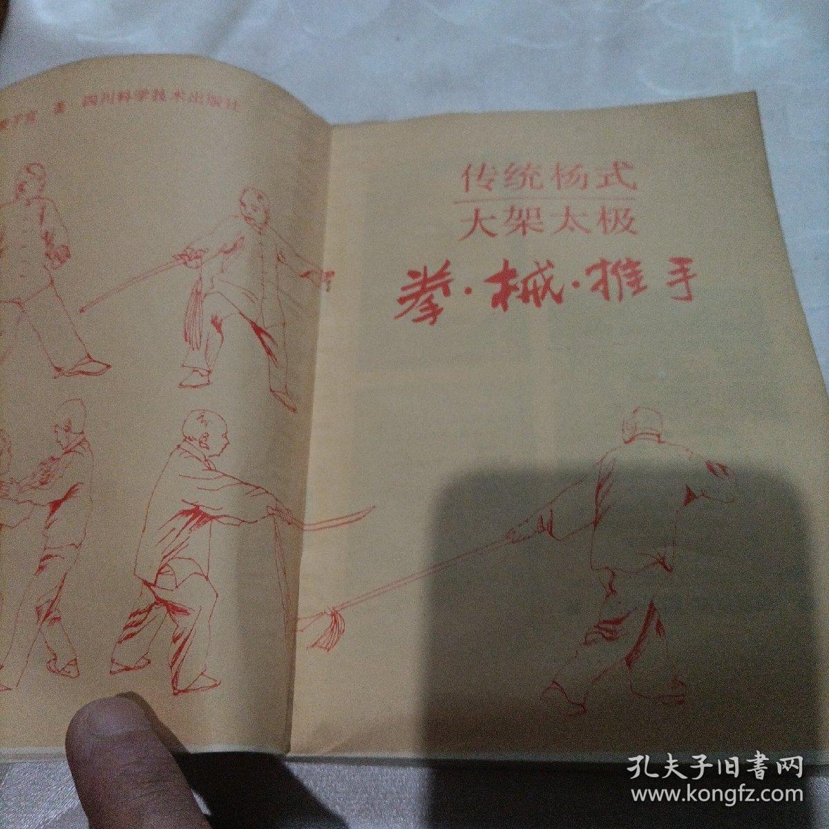 中国武功绝招丛书：传统杨氏大架太极拳 械 推手 李雅轩太极推手精粹