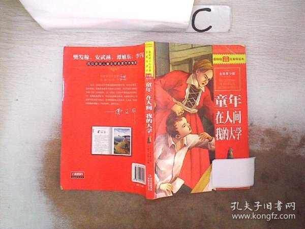 最畅销中外名著名家导读本：童年 在人间 我的大学（全彩青少版）。，