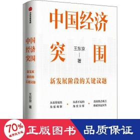 中國(guó)經(jīng)濟(jì)突圍 經(jīng)濟(jì)理論、法規(guī) 王東京