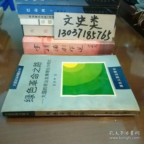 绿色革命之路:大国的农业发展理论与模式(包正版，现货无写划)