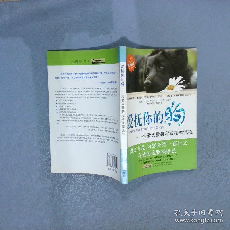 爱抚你的狗：为爱犬量身定做按摩流程