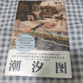 潮汐图（新锐女作家林棹全新长篇）