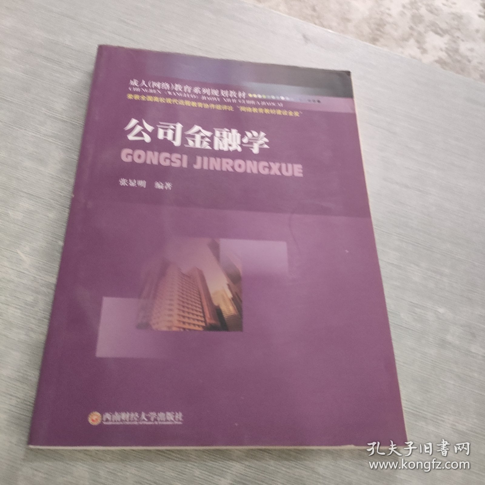 成人（网络）教育系列规划教材：公司金融学