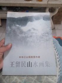 王留民山水画集