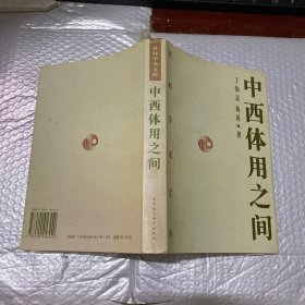 中西体用之间：晚清中西文化观述论