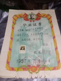 广东省初中毕业证1957年，收藏怀旧小学初中高中大学参考