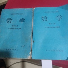 小学生课外学习读物丛书数学第十一册第十二册合售