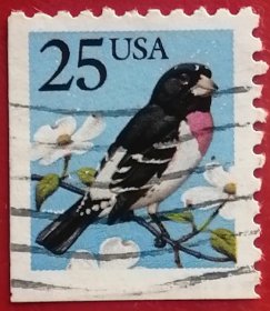 美国邮票 1988年 普通邮票 鸟类 松雀 蜡嘴鸟 喜鹊 信销