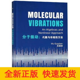 分子振动:代数与非线性方法(英文版)