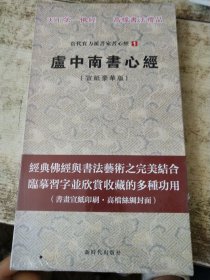当代实力派书家书心经：卢中南书心经 未开封