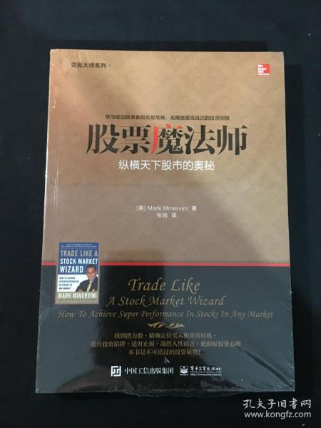 交易大师系列 股票魔法师——纵横天下股市的奥秘