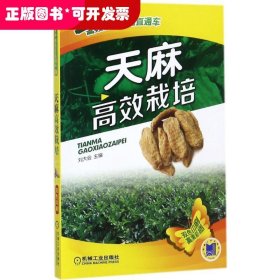 天麻高效栽培