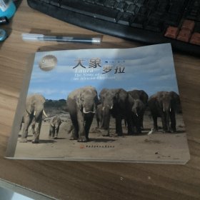 大象罗拉
