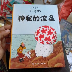 丁丁历险记·神秘的流星