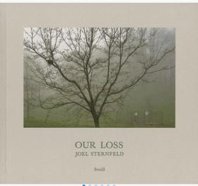 正版 Joel Sternfeld: Our Loss