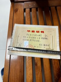 1981年，上海保安路小学毕业证一张，折叠发货