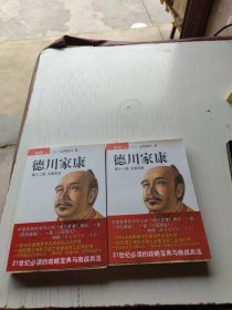 德川家康（第十一部）：王道无敌+大坂风云