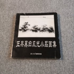 王兵黑白风光小品画集