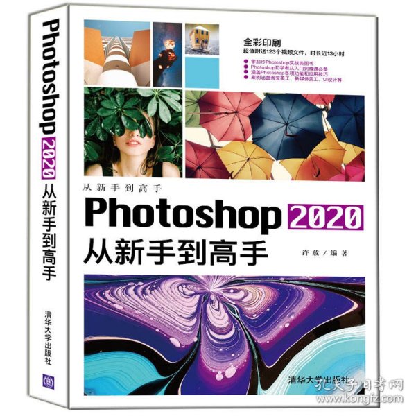 Photoshop2020从新手到高手（从新手到高手）