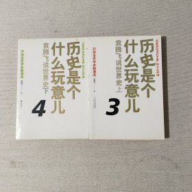 历史是个什么玩意儿3、4：袁腾飞说世界史 上下（两本合售）