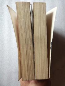 巴黎春梦(上下册)