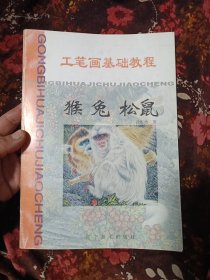 工笔画基础教程.猴 兔 松鼠