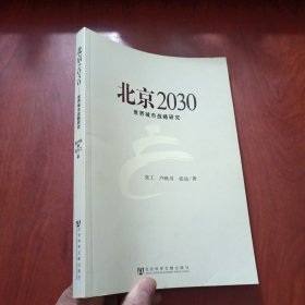 北京2030：世界城市战略研究