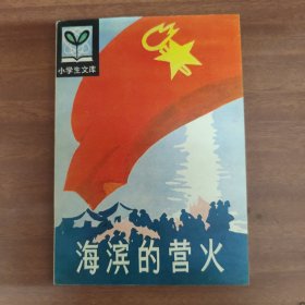 海滨的营火