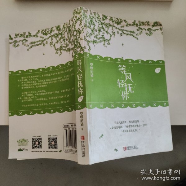 等风轻抚你（上下）原名等风热吻你她的小梨涡作者唧唧的猫新作