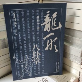 龙形八卦掌
