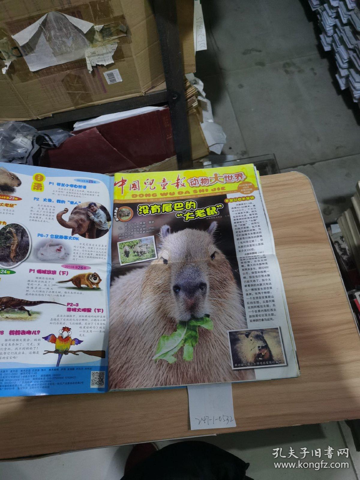 中国儿童报动物大世界2014年6月号