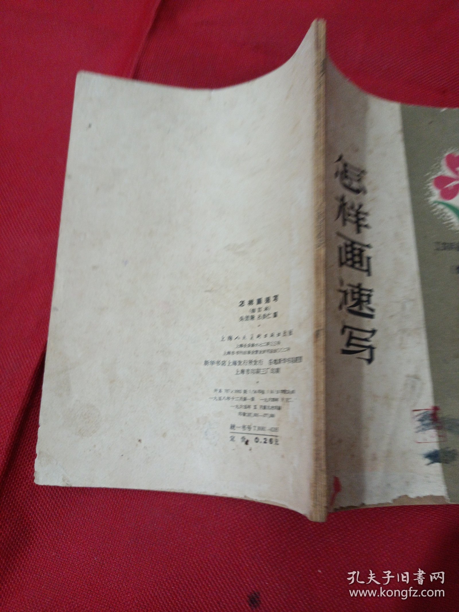2505S32：怎样画速写