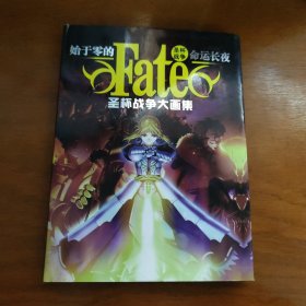 圣杯战争大画集Fate