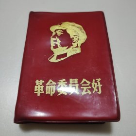 革命委员会好