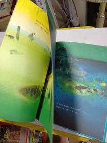 暖房子国际精选绘本：小岛